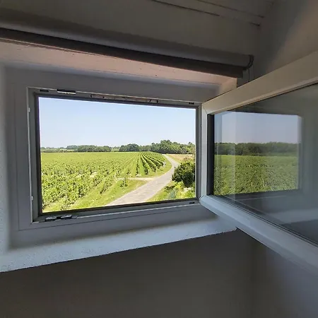 Ravissant Studio A La Ferme Avec Piscine *